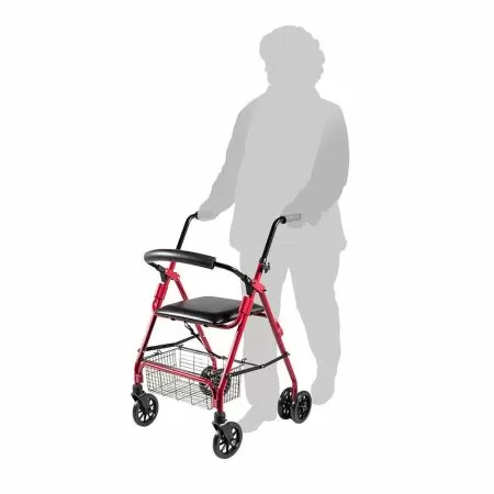 Ходунки-роллаторы Barry RollPush