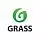 Grass